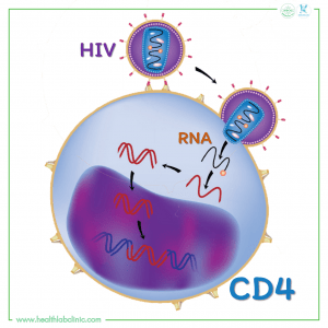 HIV-vs-CD4